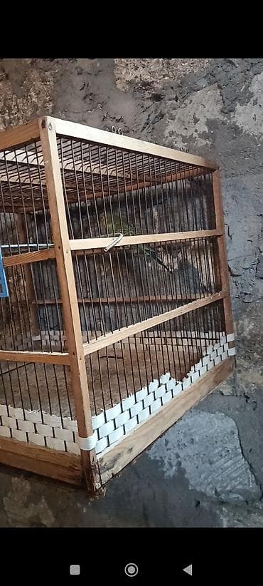 danşan quş: Taxta quş qəfəsi - Material: möhkəm taxta karkas, metal şəbəkə — 5