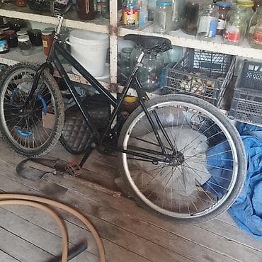 velo home: 50 m iksi — 1
