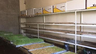 Дома: 2 hektar ümumi sahəyə malik, çıxarışlı (kupçalı) torpaq sahəsi — 10