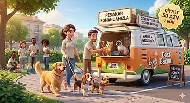 it paltarlari satisi: 🌟 EV HEYVANLARINIZ ÜÇÜN 5 ULDUZLU VİP XİDMƏT! 🌟 ​Hər şey daxil – — 1