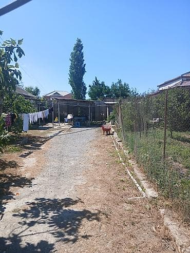 otag: Kirayə otaq – sadə məişət avadanlıqları ilə - Tək nəfərlik taxta — 9