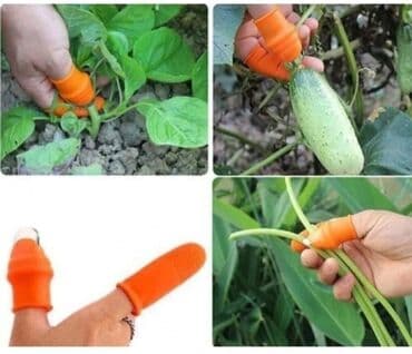 elcin: Praktik Baş Barmağın Qoruyucu Əlcəyi Tərəvəz Meyvə Soyan Kəsmə Soyucu — 6