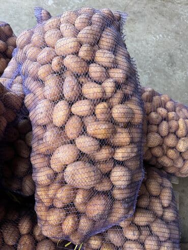 Варенье: Toxum və iri kartof satılır — 5