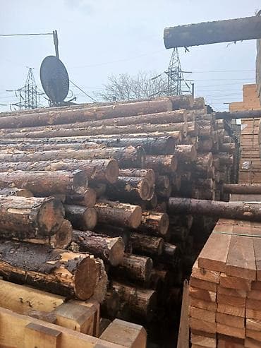 pip agaci: Məhsul: Şam ağacından yumru dirəklər və taxta materialları Təsvir: - — 1