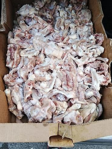 kfc elaqe nomresi: Məhsul Dondurulmuş toyuq sümükləri və farş heyvan sevenler ucun — 1