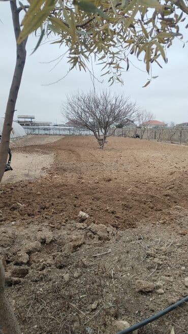 Torpaqlari şumlamaq