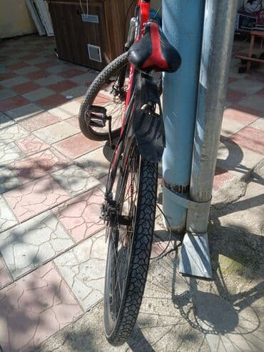 купить велосипед бу: İşlənmiş İki təkərli Uşaq velosipedi Toba, 29", sürətlərin sayı: 7, Ödənişli çatdırılma — 3