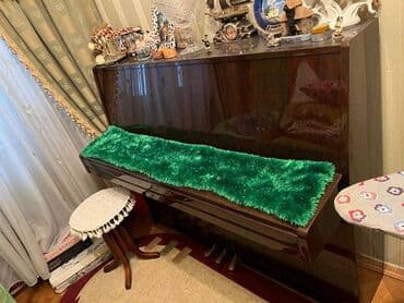 petrof: Piano, Petrof, Akustik, Yeni, Ünvandan götürmə — 3