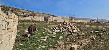 basavik satisi: 2 sot, Tikinti, Mülkiyyətçi, Kupça (Çıxarış), Texniki pasport — 2