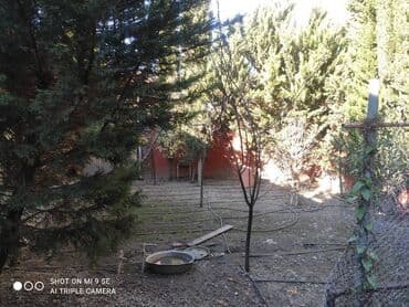 ev alıram: 5 otaqlı, 250 kv. m, Yeni təmirli — 7