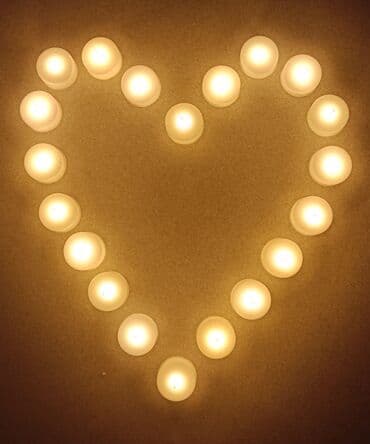 soya mumu satışı: Şam Slindrik — 4