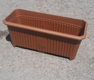 орхидея баку: Dibcek kvadrat duzbucaqli bitkilər üçün dibçəklər Dibcekler — 9