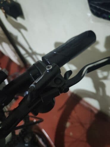 где купить велосипед: Elektrik velosipedi 28", 500-750 Vt, Ödənişli çatdırılma — 6