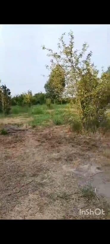 ovcu mağazası unvan: 18 sot, Biznes üçün, Mülkiyyətçi, Kupça (Çıxarış), Texniki pasport — 6