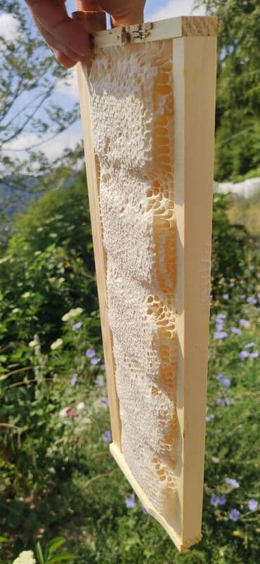 продается мед: ELF BEE'S 1977 ECO-PRODUCT FOR HEALTH AND LONGEVITY Tovuzun — 4