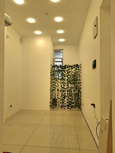 аренда помещений под кафе ресторан: Nərimanov metrosu, Nərimanov metrosu Nərimanov parkının yanında, 4 — 3