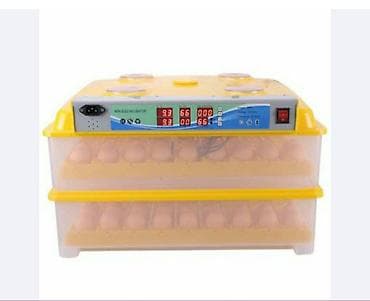 İnkubatorlar: Satılır 196 yumurtalıq tam avtomat 300azn — 1