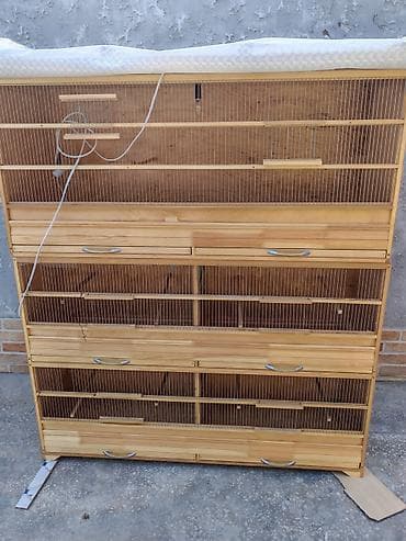 Taxta qəfəs, çoxsəviyyəli quş qəfəsləri sistemi. Uzunluğu -