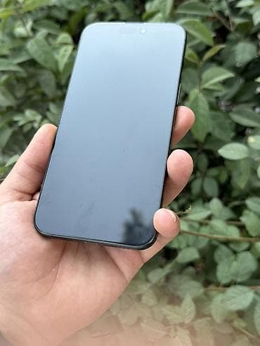IPhone 15 Pro Max, 256 ГБ, Black Titanium, Face ID — 5