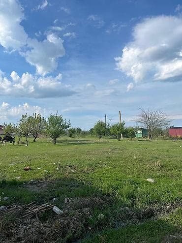 Daşınmaz əmlak: 2 sot, Tikinti, Mülkiyyətçi, Kupça (Çıxarış), Texniki pasport — 1