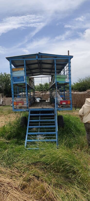 maşın qoşqu: Arı ucun Qoşqu satılır TƏCİLİ Goranboyda və onunla birlikdə: 30 əd — 4