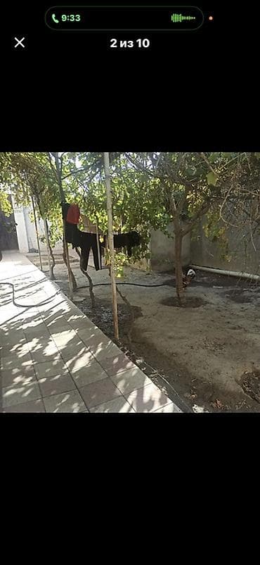 sumqayit 33 yolu heyet evleri: 100 kv. m, 3 otaqlı, Qaz, İşıq, Su — 3