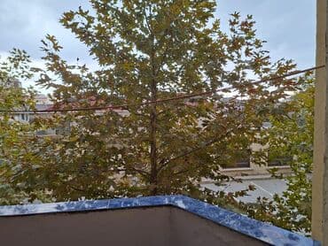 фотостудия советская квартира: 2 комнаты, Новостройка, м. Автовокзал, 72 м² — 11