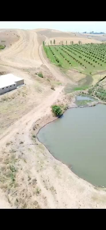 700 sot, Kənd təsərrüfatı, Kupça (Çıxarış)