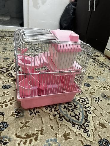 Yataqlar: 1 ədəd ana hamster 3 ədəd bala hamster 2 kletka biri böyük biri — 3