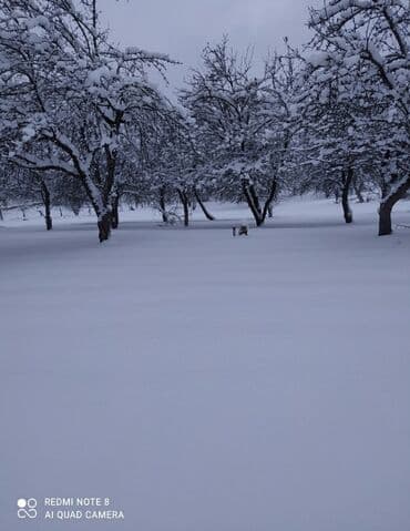 xacmazda torpaq: 48 соток, Для строительства, Собственник, Бялядия (муниципалитет) — 5