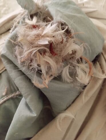 tuk: Yuxu üçün Sadə Lələk, tük Yastıq — 2