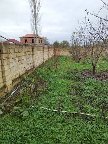 6 mkr da kiraye evler: 4 sot, Kupça (Çıxarış) — 1