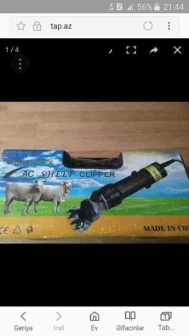 it bazari 2023: Qoyun qırxan qayçı tokla çatdırılma pulsuz telefon nömresi wopçapda — 2