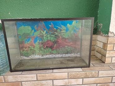 baliq akvarium satisi: Dördbucaq akvarium, Boş, 120 l, Ünvandan götürmə — 1