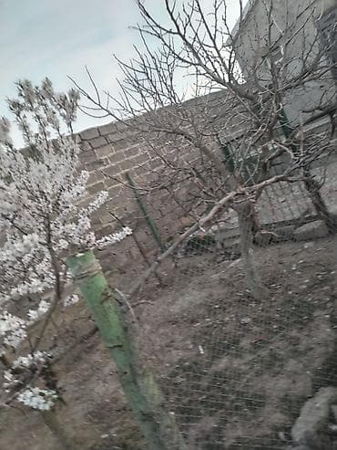 daşinan ev: Makler elanı deyil .Mərdəkanın mərkəzində, Premium Lokasiyada — 4