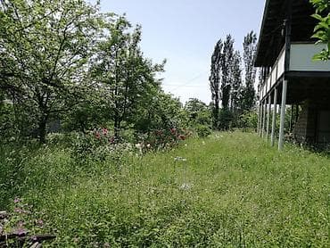 qusar gunluk evlər: Qəbələ rayon Vəndam qəsəbəsində 8sot torpaq satılır,hər tərəfi dağ — 7