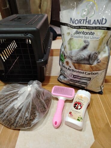 Pişik üçün aksesuarlar dəsti - Daşınma üçün plastik daşıyıcı qutu