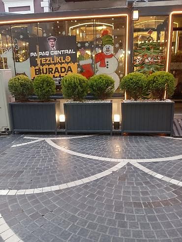 corelli: Papaq Central – Tezliklə burada! - Yeni konseptli ictimai iaşə məkanı — 2