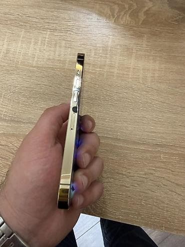 samsung note 1: IPhone 13 Pro, 128 GB, Qızılı, Face ID — 3