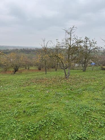 купить участок в бузовнах: 18 соток, Для строительства, Купчая — 5