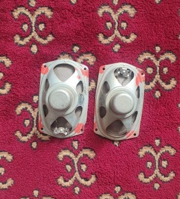 Kolonka, Növ - Akustik, rəng - Gümüşü