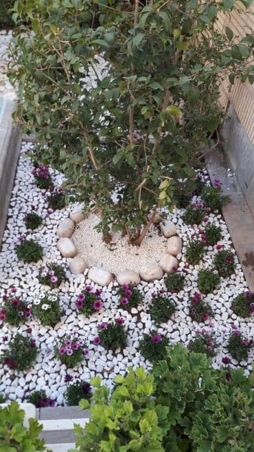 Kafel və metlax: Təbii Ağ daşlar hər razmerdə mövcuddur, 1kq 1 azn Topdan satışda — 14