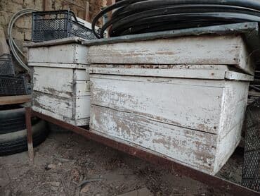 coban iti satiram: Arı yeşikləri satılır, yaxşı vəziyyətdədir. Ünvan : Quba rayonu — 2