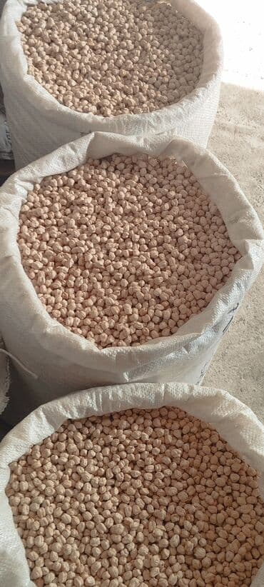 Чай, кофе, напитки: Noxud Toxumu Agro Texniki Qaydalarla yetiş dirlib Nomrə bir toxum — 1