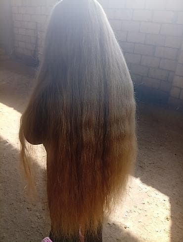 qısa donlar 2023: Təbii uşaq saci satlir canlı çox gözəl rəngi var 50santi satlir — 9