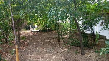 masazirda yeni tikili: 2 otaqlı, Yeni tikili, 71 kv. m — 20