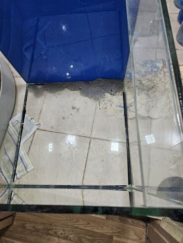 купить аквариум: Şüşə akvarium korpusu - Ölçülər təxmini: kvadrat formaya yaxın — 3