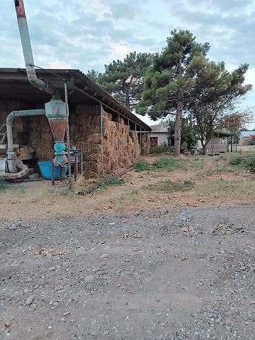 квартира баку купить: Ferma/təsərrüfat kompleksi - Heyvandarlıq üçün tikili və açıq — 6