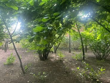 купить дом в баку хырдалан: 3 соток, Для бизнеса, Собственник, Купчая, Договор — 3