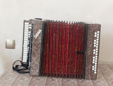 нитритная соль купить в бишкеке: Saz vəziyətdə di hec bir problemi yoxdu cantasi ilə satilir — 1